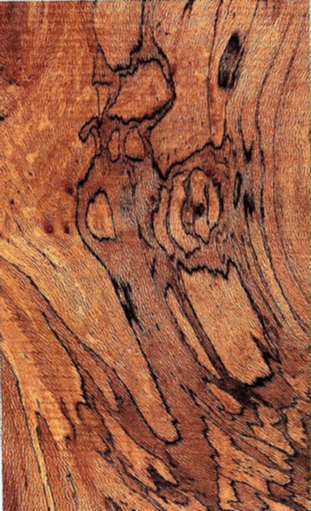 wood